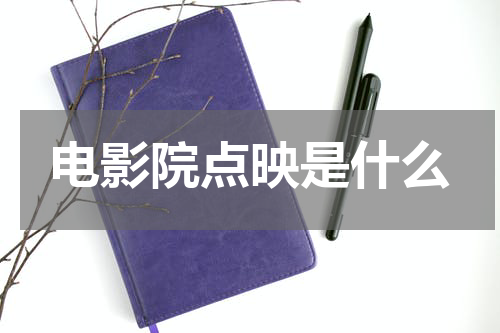 电影院点映是什么