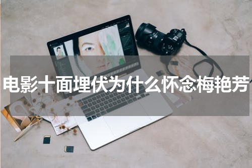 电影十面埋伏为什么怀念梅艳芳
