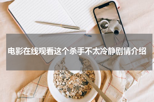电影在线观看这个杀手不太冷静剧情介绍