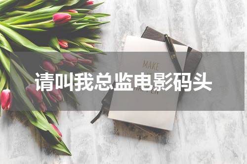请叫我总监电影码头
