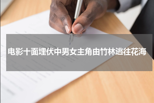 电影十面埋伏中男女主角由竹林逃往花海