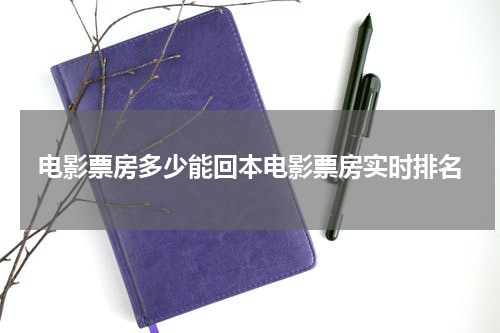 电影票房多少能回本电影票房实时排名