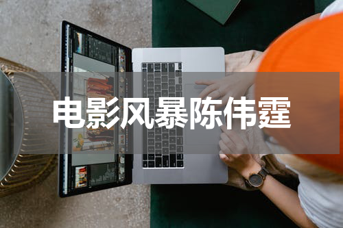 电影风暴陈伟霆