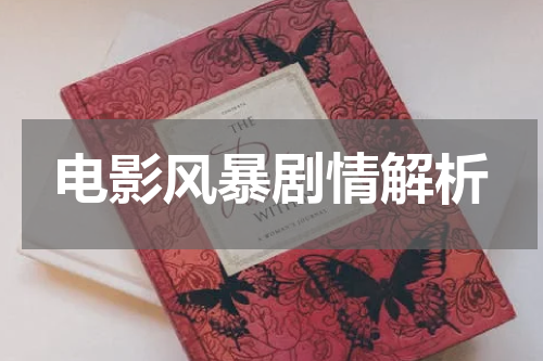 电影风暴剧情解析