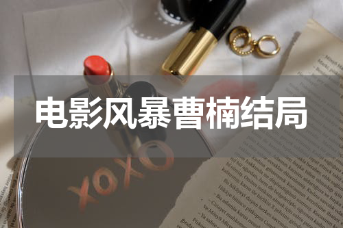 电影风暴曹楠结局