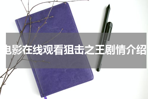 电影在线观看狙击之王剧情介绍