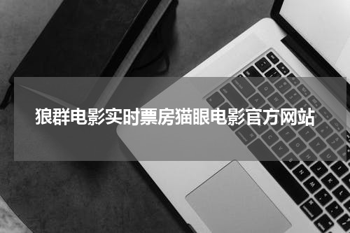 狼群电影实时票房猫眼电影官方网站