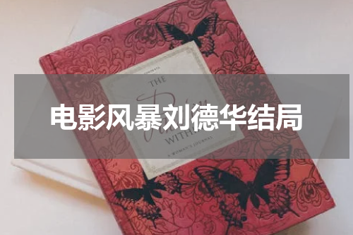 电影风暴刘德华结局