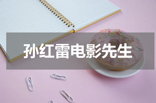 孙红雷电影先生