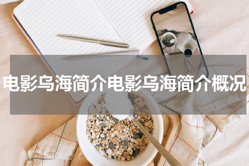 电影乌海简介电影乌海简介概况