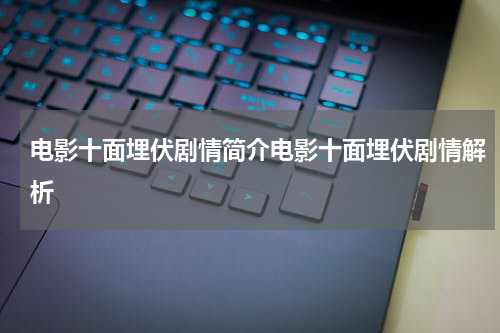 电影十面埋伏剧情简介电影十面埋伏剧情解析