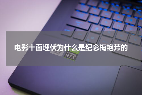 电影十面埋伏为什么是纪念梅艳芳的