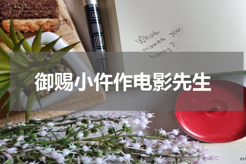 御赐小仵作电影先生