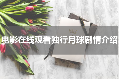 电影在线观看独行月球剧情介绍