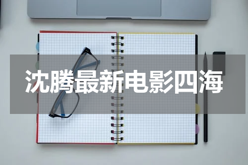 沈腾最新电影四海
