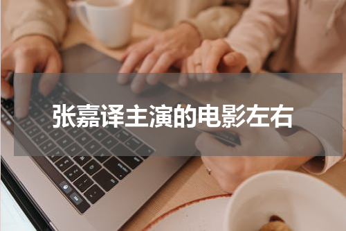 张嘉译主演的电影左右