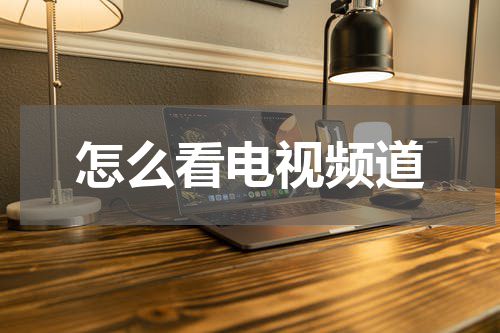 怎么看电视频道