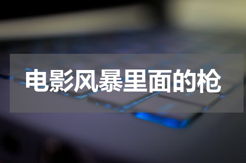 电影风暴里面的枪