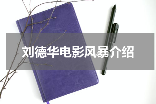 刘德华电影风暴介绍