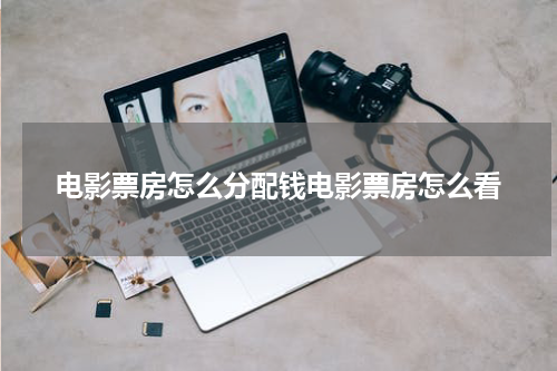 电影票房怎么分配钱电影票房怎么看