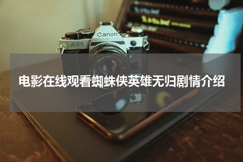 电影在线观看蜘蛛侠英雄无归剧情介绍