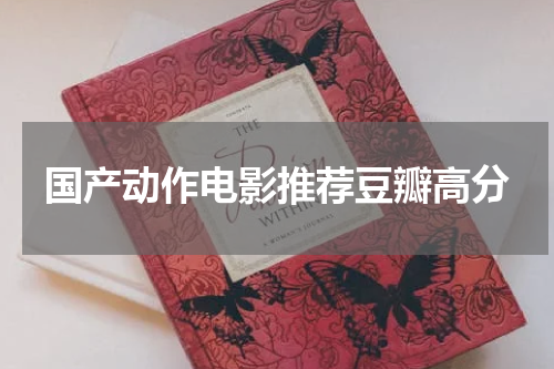 国产动作电影推荐豆瓣高分