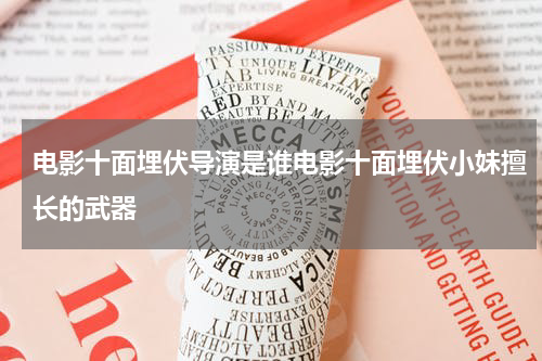 电影十面埋伏导演是谁电影十面埋伏小妹擅长的武器