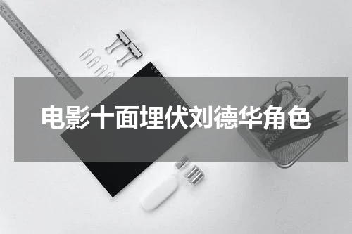 电影十面埋伏刘德华角色