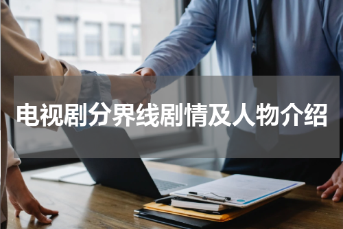 电视剧分界线剧情及人物介绍