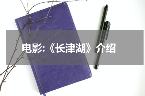 电影:《长津湖》介绍