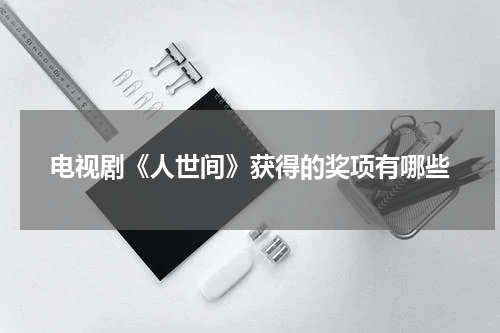 电视剧《人世间》获得的奖项有哪些