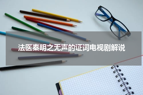 法医秦明之无声的证词电视剧解说