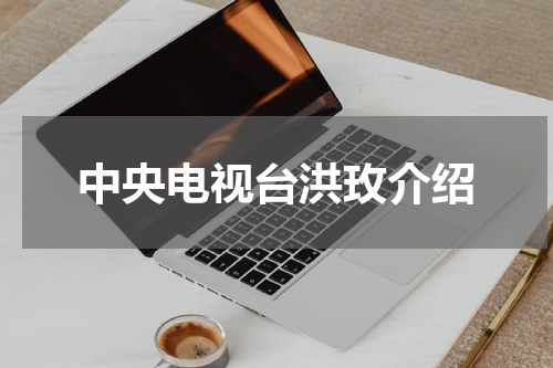 中央电视台洪玫介绍