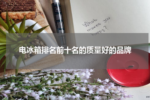 电冰箱排名前十名的质量好的品牌