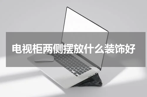 电视柜两侧摆放什么装饰好