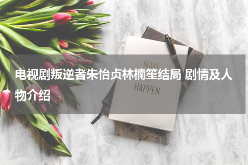 电视剧叛逆者朱怡贞林楠笙结局 剧情及人物介绍