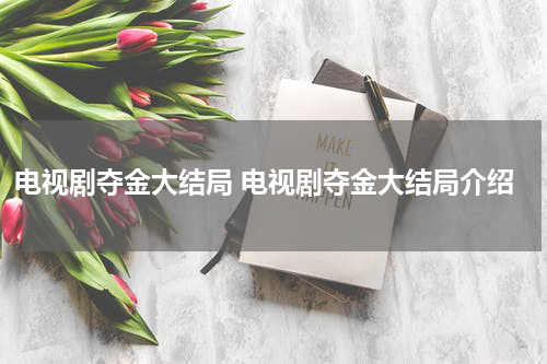 电视剧夺金大结局 电视剧夺金大结局介绍