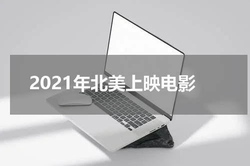 2021年北美上映电影