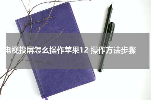 电视投屏怎么操作苹果12 操作方法步骤