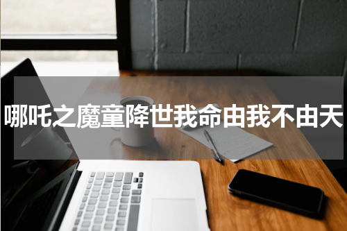 哪吒之魔童降世我命由我不由天
