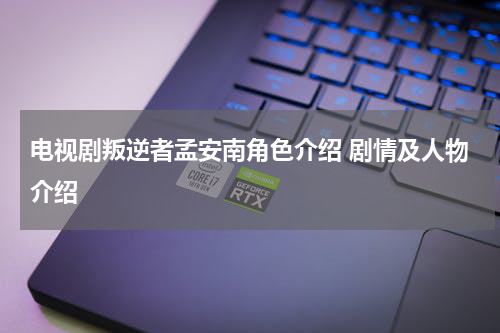 电视剧叛逆者孟安南角色介绍 剧情及人物介绍