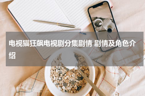 电视猫狂飙电视剧分集剧情 剧情及角色介绍