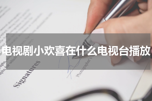 电视剧小欢喜在什么电视台播放