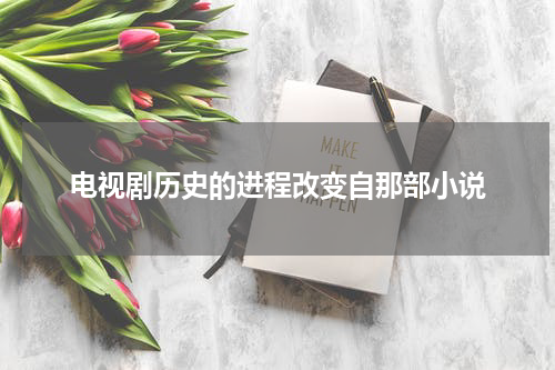电视剧历史的进程改变自那部小说