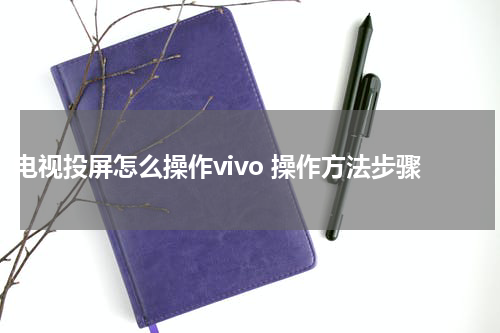 电视投屏怎么操作vivo 操作方法步骤