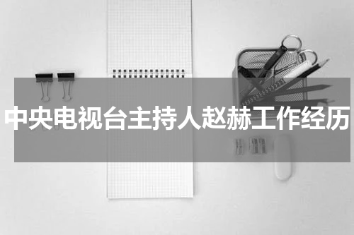 中央电视台主持人赵赫工作经历