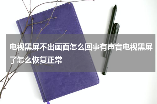 电视黑屏不出画面怎么回事有声音电视黑屏了怎么恢复正常