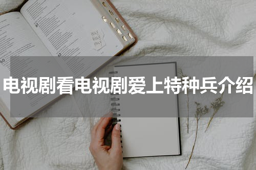 电视剧看电视剧爱上特种兵介绍