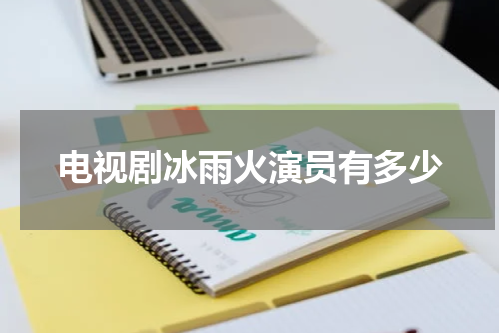 电视剧冰雨火演员有多少