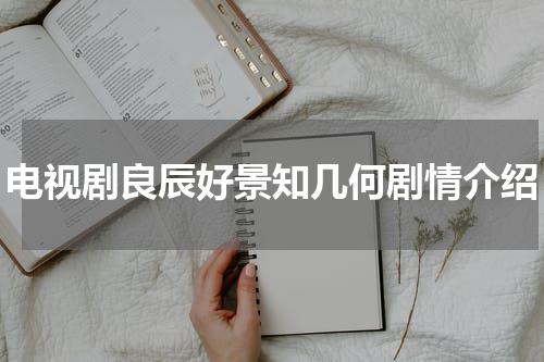 电视剧良辰好景知几何剧情介绍